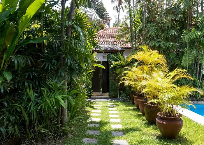 Delapan *